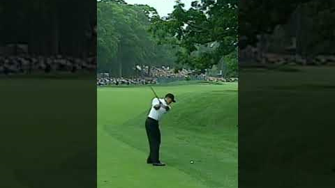 Greatest Golf Shot Of All Time