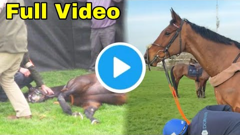 Shocking Envoi Allen Racehorse Death After Final Jump Race | Envoi Allen Falling Video