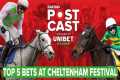 TOP 5 BETS AT CHELTENHAM FESTIVAL