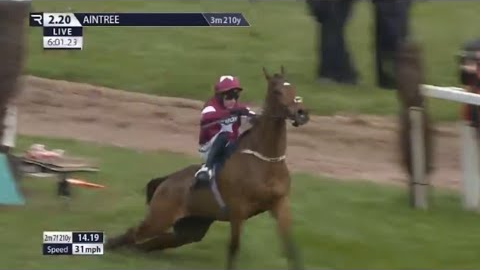 Grand National Horse Gold Dancer Crash and dies in Horrific accident At the Novices Chase on Ladies