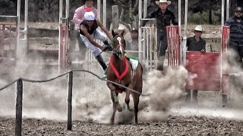 Accidente En Carreras De Caballos | Sierra De Durango Mex.