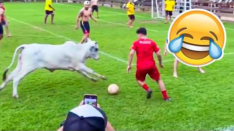 FUNNY FOOTBALL VIDEOS, SKILLS & GOALS #59