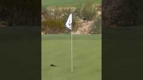 Donald Trump ALMOST Hole-In-One😂