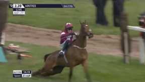 Grand National Horse Gold Dancer Crash and dies in Horrific accident At the Novices Chase on Ladies