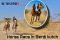 Horse Race in Serdi patti kutch /
