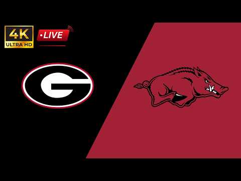 Arkansas vs Georgia LIVE 4K | arkansas baseball | georgia baseball | SEC Tournament Championship