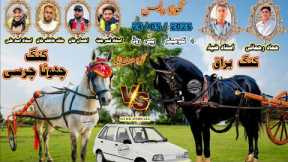 Buraq Vs Chota Charsi Horse Race || Tanga Race || #horse #horseriding #viral 
