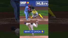 Catch of the Year? 🤯⚾#mlb #baseball  #viral #sports