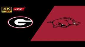 Arkansas vs Georgia LIVE 4K | arkansas baseball | georgia baseball | SEC Tournament Championship