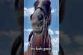 Funny Horse Moments