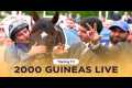 2000 GUINEAS LIVE | Racing TV