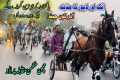 Chan Makhan Vs Parado Horse Race In