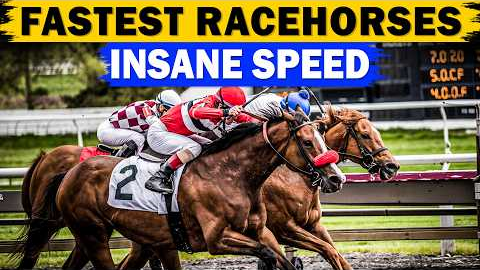 Top 17 Fastest Horses in Racing History