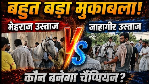 Salman Horse Race Yamunangar 5 Km🥇🏆🐎#horse #horsetrack #horseracing #horseriding #horseshows 