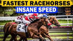 Top 17 Fastest Horses in Racing History